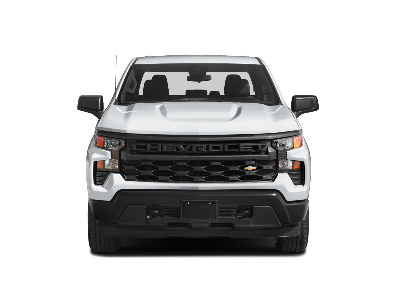 2022 Chevrolet Silverado 1500 Custom Trail Boss photo 4
