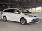 2026 Toyota Sienna Limited 7 Passenger